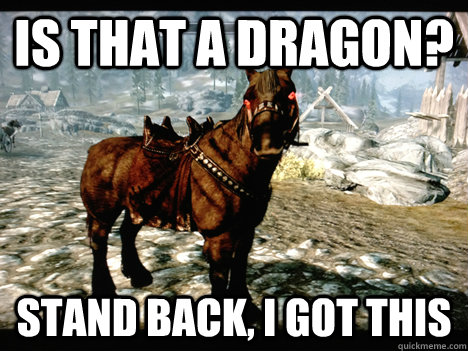 is that a dragon? stand back, i got this - is that a dragon? stand back, i got this  Skyrim Horse Logic