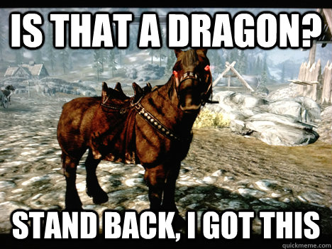 is that a dragon? stand back, i got this  Skyrim Horse Logic