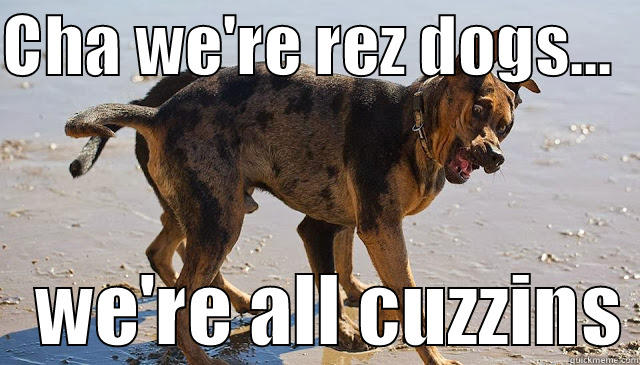 CHA WE'RE REZ DOGS...      WE'RE ALL CUZZINS Misc