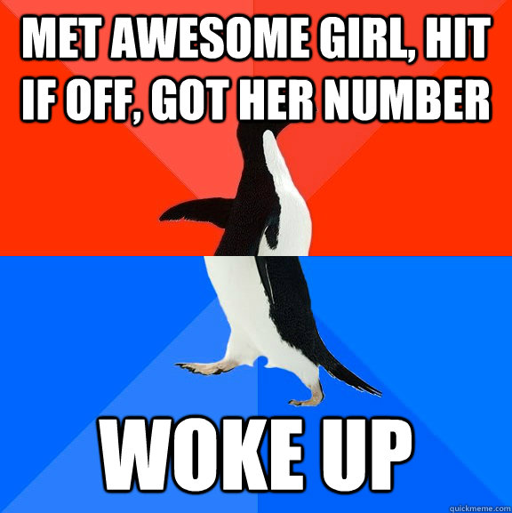 met awesome girl, hit if off, got her number woke up  Socially Awesome Awkward Penguin