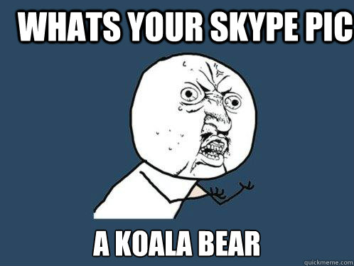 whats your skype pic a koala bear  Y U No