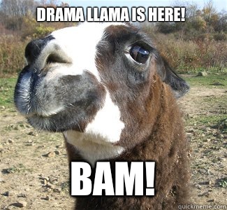 Drama Llama is here!  Bam!  - Drama Llama is here!  Bam!   Drama Llama