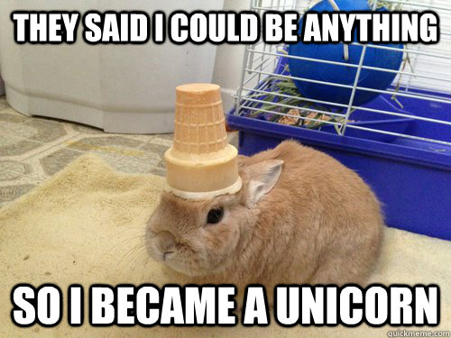 They said i could be anything so i became a unicorn  Unicorn