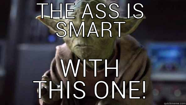 THE ASS IS SMART WITH THIS ONE! True dat, Yoda.