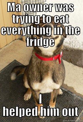 MA OWNER WAS TRYING TO EAT EVERYTHING IN THE FRIDGE I HELPED HIM OUT Good Dog Greg
