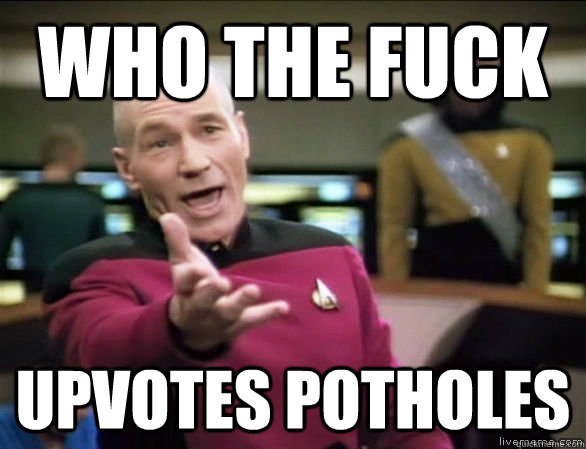 Who the fuck upvotes potholes  Annoyed Picard HD
