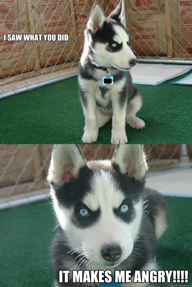 I saw what you did  It MAKES ME Angry!!!!  Insanity puppy