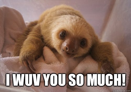  i wuv you so much!   baby sloth