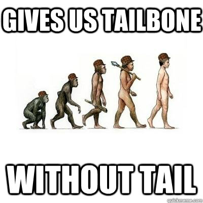 Gives us tailbone without tail  