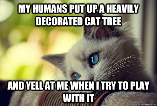 My humans put up a heavily decorated cat tree and yell at me when i try to play with it  First World Problems Cat