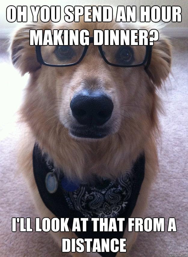 oh you spend an hour making dinner? I'll look at that from a distance - oh you spend an hour making dinner? I'll look at that from a distance  Good Guy Dog
