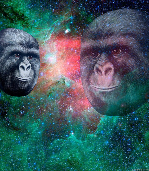   -    Eternal Jimmies