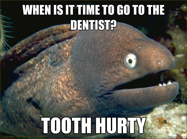 When is it time to go to the dentist? Tooth Hurty - When is it time to go to the dentist? Tooth Hurty  Bad Joke Eel