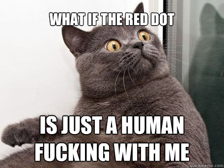 What if The red dot Is just a human fucking with me - What if The red dot Is just a human fucking with me  conspiracy cat