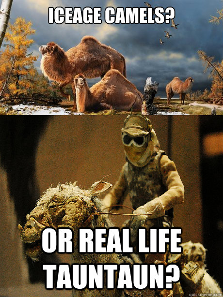Iceage camels? or real life Tauntaun? - Iceage camels? or real life Tauntaun?  Misc