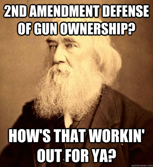 2nd amendment defense of gun ownership? how's that workin' out for ya?  