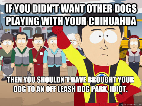 If you didn't want other dogs playing with your chihuahua Then you shouldn't have brought your dog to an off leash dog park, idiot.   Captain Hindsight