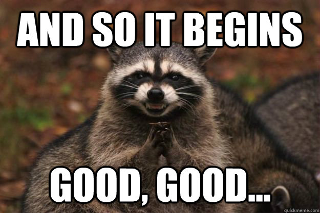 And so it begins Good, good...   Evil Plotting Raccoon