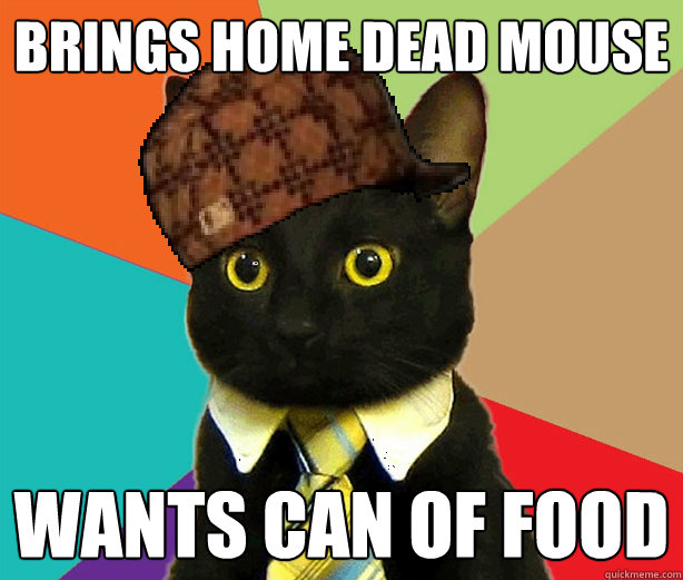 brings home dead mouse wants can of food  Scumbag Cat