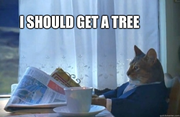 I should get a tree  Sophisticated Cat