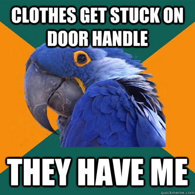 Clothes get stuck on door handle THEY HAVE ME   Paranoid Parrot