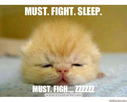 Must. Fight. Sleep. Must. Figh.... Zzzzzz    