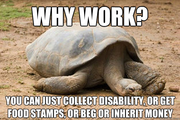 why work? you can just collect disability, or get food stamps, or beg or inherit money  Depression Turtle