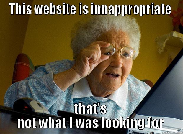 THIS WEBSITE IS INNAPPROPRIATE THAT'S NOT WHAT I WAS LOOKING FOR Grandma finds the Internet