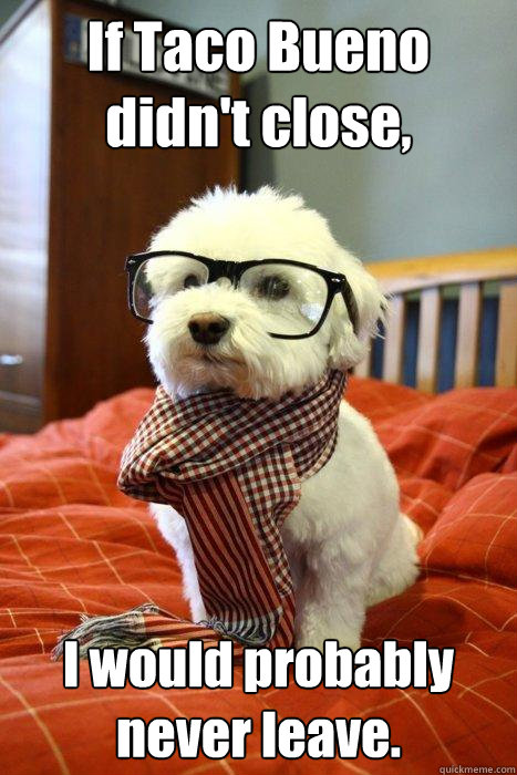 If Taco Bueno didn't close, I would probably never leave. - If Taco Bueno didn't close, I would probably never leave.  Hipster Dog