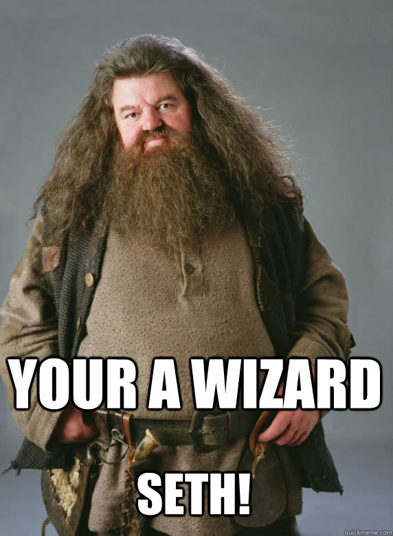  YOUR A WIZARD SETH! -  YOUR A WIZARD SETH!  Goodnight sweet hagrid