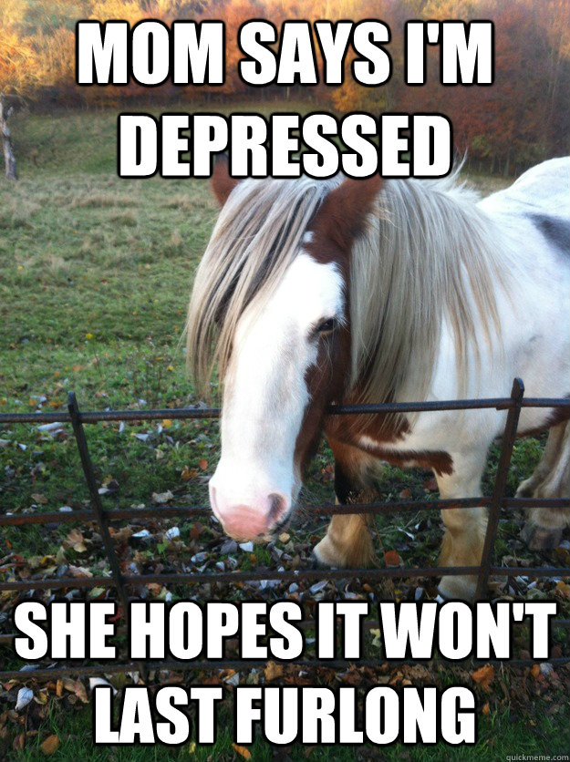 mom says i'm depressed she hopes it won't last furlong - mom says i'm depressed she hopes it won't last furlong  Emo Horse