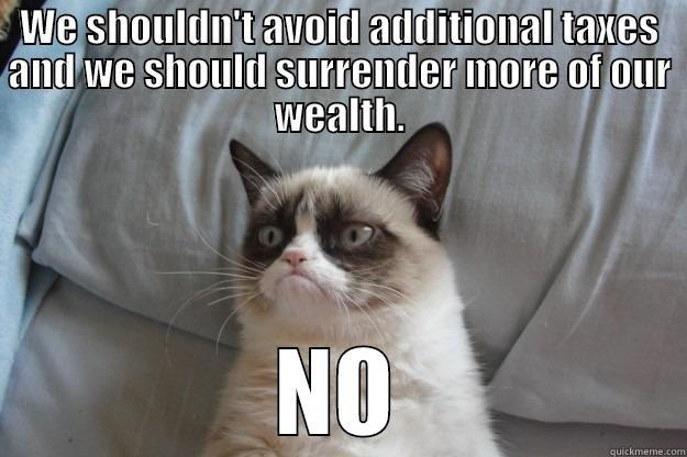 WE SHOULDN'T AVOID ADDITIONAL TAXES AND WE SHOULD SURRENDER MORE OF OUR WEALTH. NO Grumpy Cat