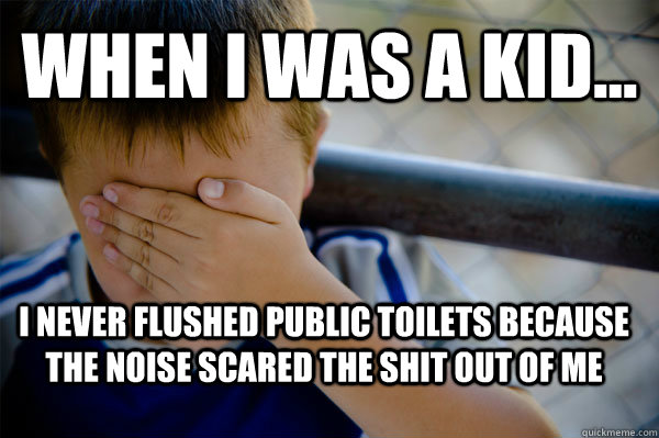 WHEN I WAS A KID... I never flushed public toilets because the noise scared the shit out of me  Confession kid
