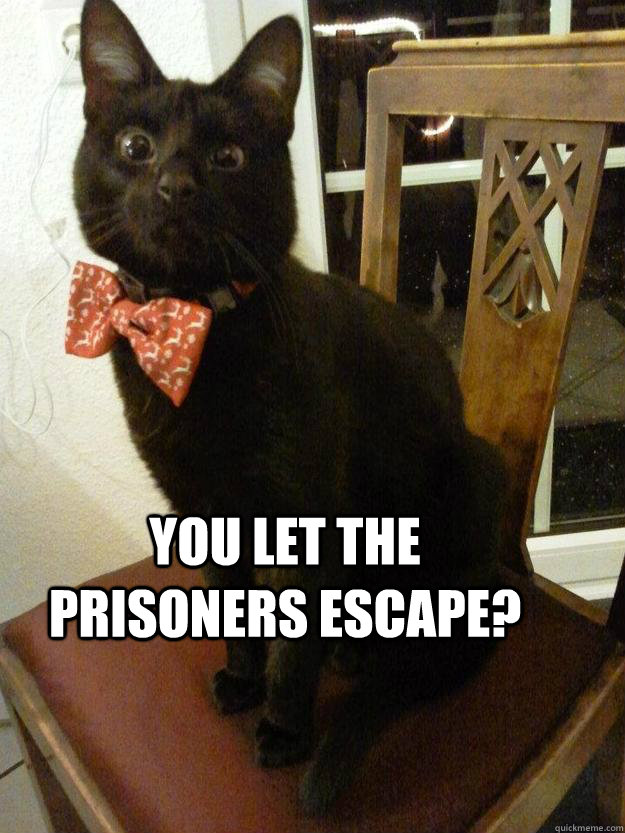 You let the prisoners escape?  Evil Cat