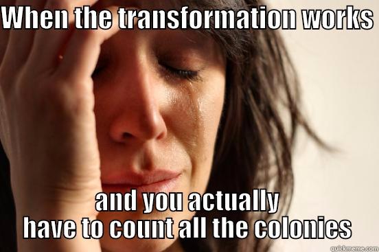 WHEN THE TRANSFORMATION WORKS  AND YOU ACTUALLY HAVE TO COUNT ALL THE COLONIES First World Problems
