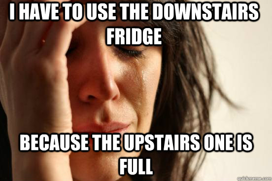 I have to use the downstairs fridge Because the upstairs one is full  First World Problems