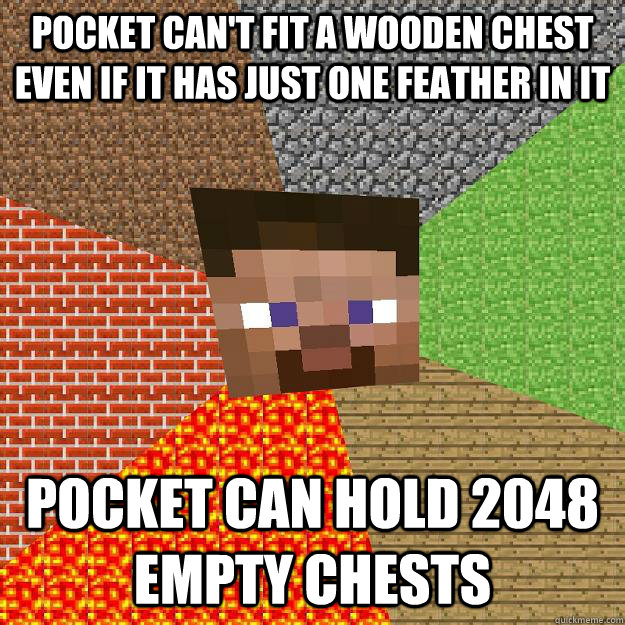 pocket can't fit a wooden chest even if it has just one feather in it pocket can hold 2048 empty chests  Minecraft