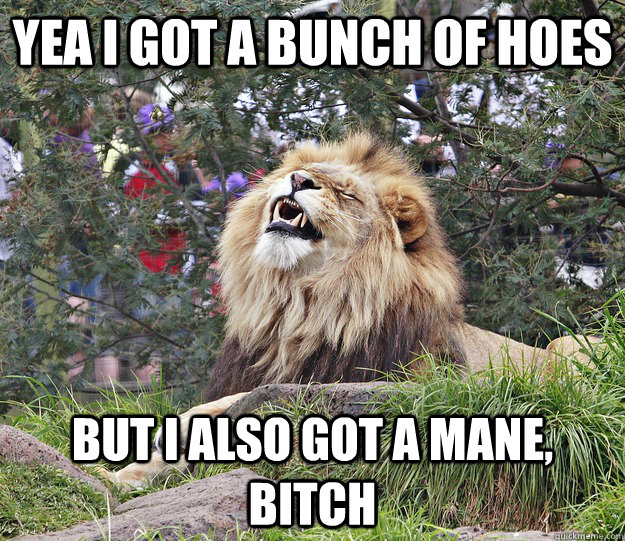 Yea I got a bunch of hoes But I also got a mane, bitch  