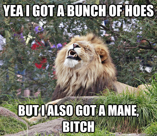 Yea I got a bunch of hoes But I also got a mane, bitch - Yea I got a bunch of hoes But I also got a mane, bitch  Aww yea lion