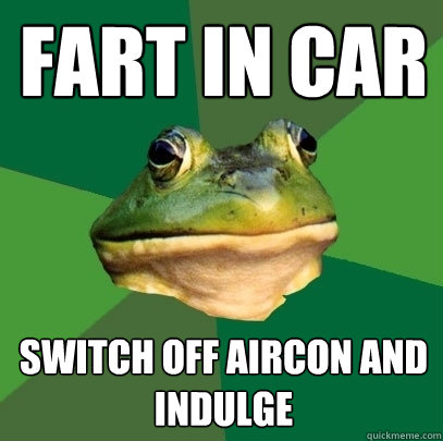 FART IN CAR SWITCH OFF AIRCON AND INDULGE  Foul Bachelor Frog