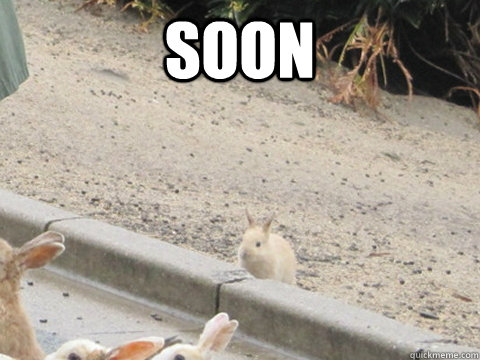 [Image: 91c6ff8b7c5a8624dc854c1fabe73e6c42e14e11...866d47.jpg]