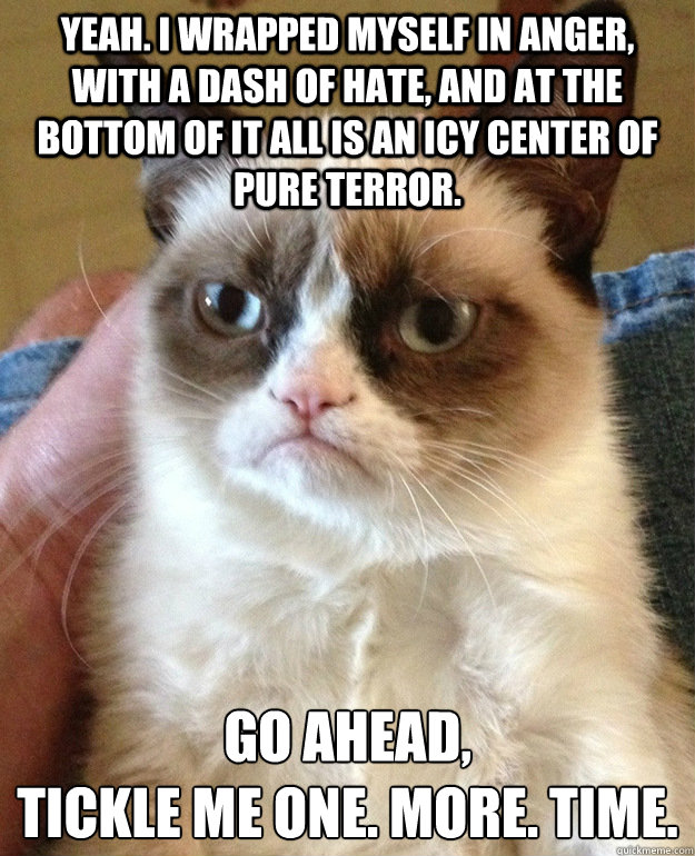 Yeah. I wrapped myself in anger, with a dash of hate, and at the bottom of it all is an icy center of pure terror. GO Ahead,  
tickle me one. more. time.  grumpycat