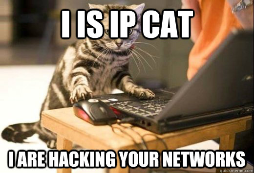 I IS IP cat I are hacking your networks  Angry Computer Cat