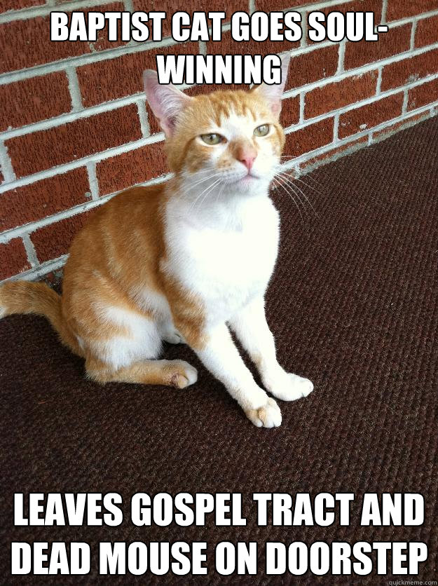 BAPTIST CAT GOES SOUL-WINNING LEAVES GOSPEL TRACT AND DEAD MOUSE ON DOORSTEP - BAPTIST CAT GOES SOUL-WINNING LEAVES GOSPEL TRACT AND DEAD MOUSE ON DOORSTEP  Baptist Cat