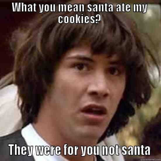 WHAT YOU MEAN SANTA ATE MY COOKIES? THEY WERE FOR YOU NOT SANTA conspiracy keanu