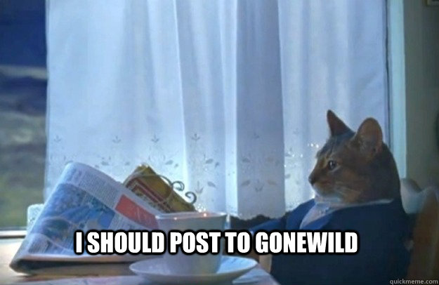 I should post to gonewild  Sophisticated Cat