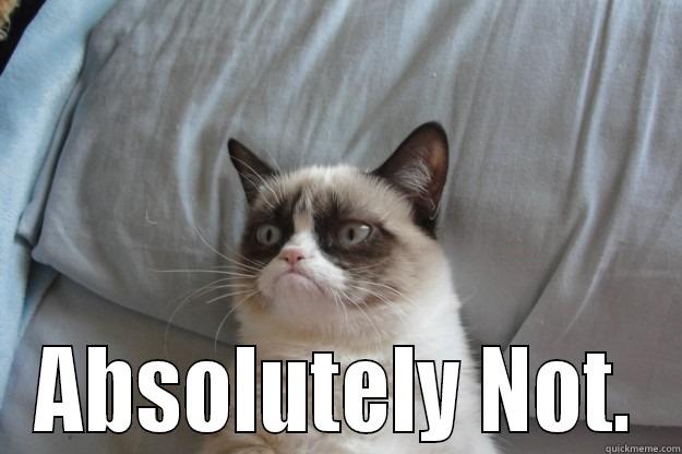  ABSOLUTELY NOT. Grumpy Cat