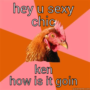 HEY U SEXY CHIC KEN HOW IS IT GOIN Anti-Joke Chicken