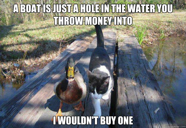 A boat is just a hole in the water you throw money into i wouldn't buy one - A boat is just a hole in the water you throw money into i wouldn't buy one  Boat advice