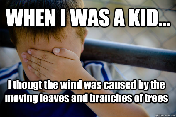 WHEN I WAS A KID... I thougt the wind was caused by the moving leaves and branches of trees  Confession kid